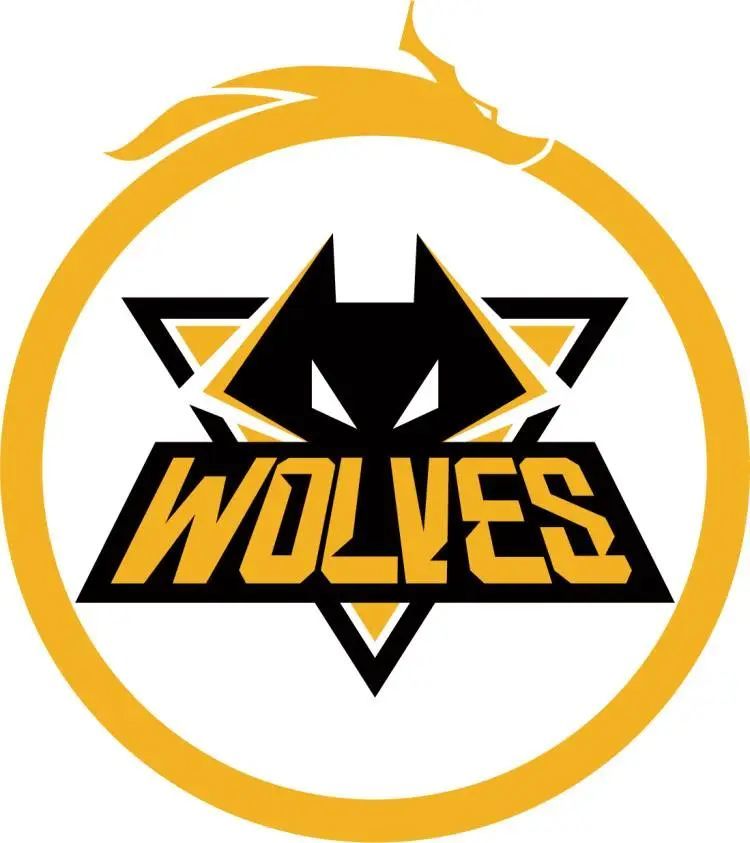 银河的独特技能，圣僧，在团队战中踢了元神，一击杀死阿卡丽，赢回了一局